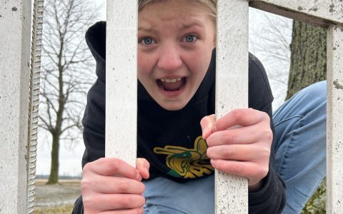 Jailbird